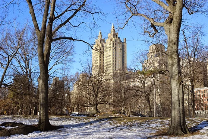 365 Project: Days 70-78