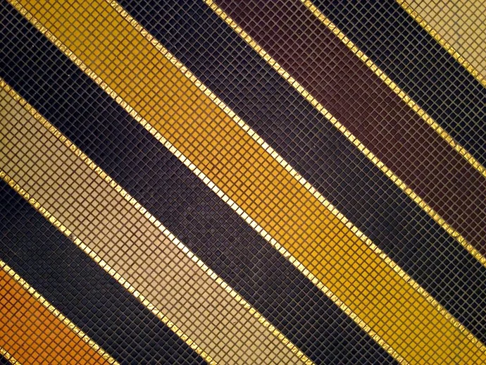 Project 365: Days 61-69