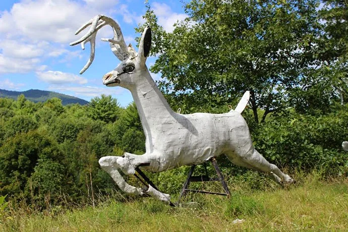 Magic Forest in Lake George, NY