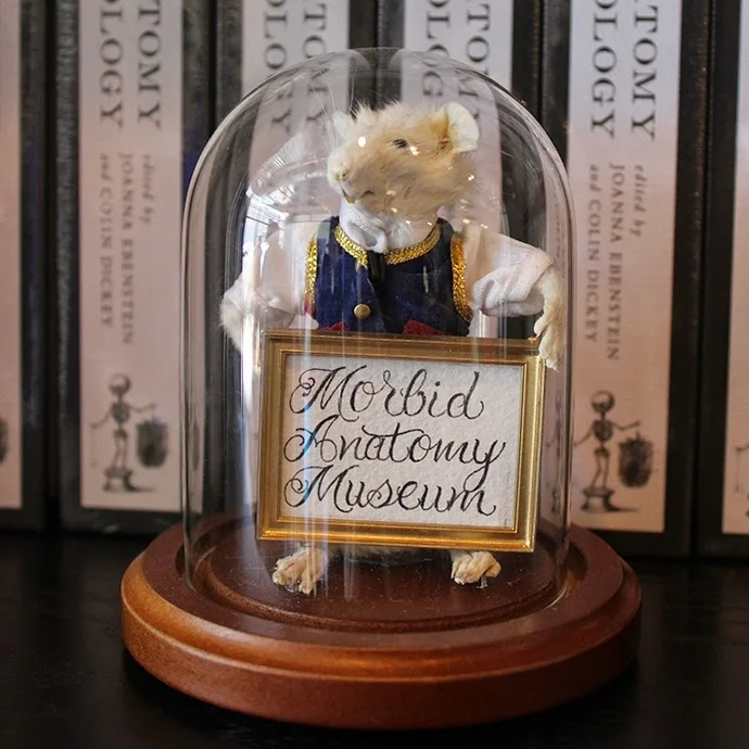 The Morbid Anatomy Museum + Library