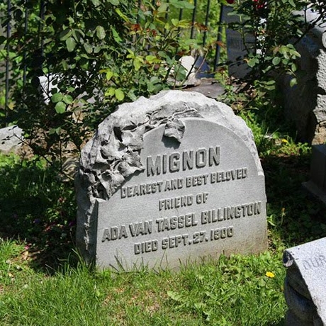 Hartsdale Pet Cemetery: Part One