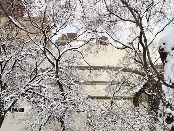 The Solomon R. Guggenheim Museum