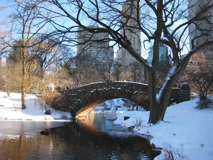 The Six-Inch Blizzard