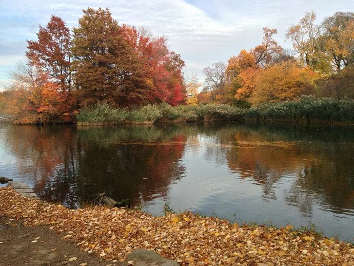 Prospect Park