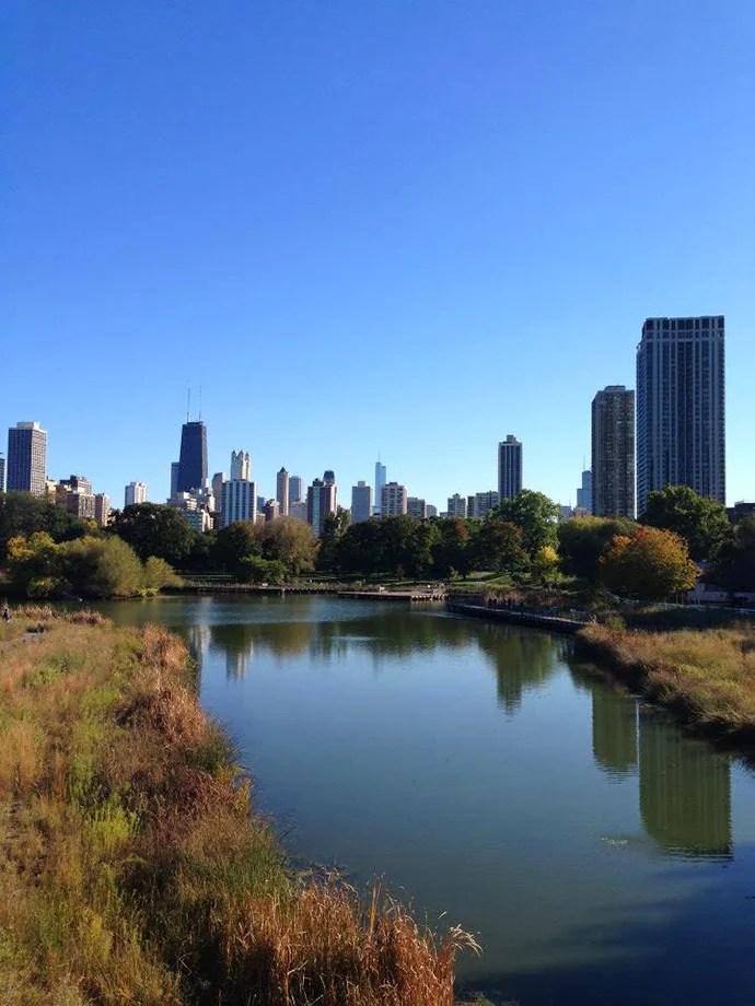 Chicago: Lincoln Park Zoo