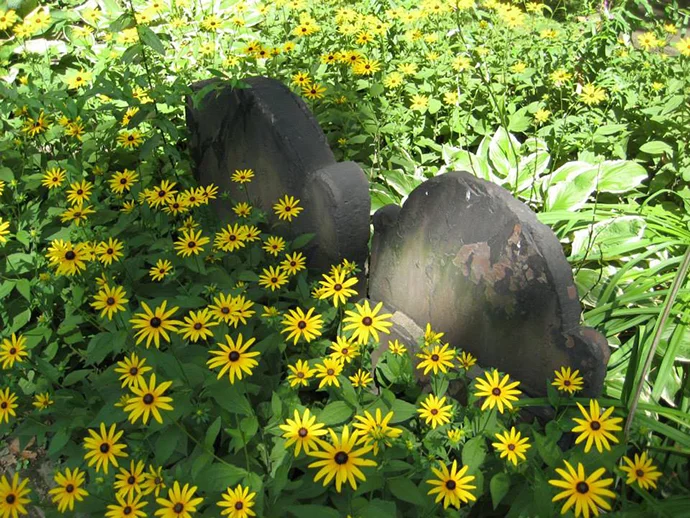 My First Month as a New Yorker