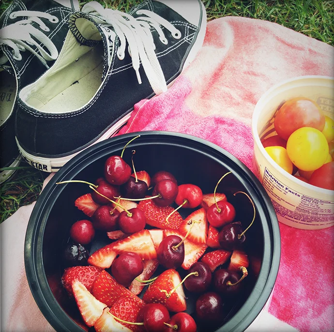 Picnics in the Park