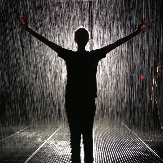 MOMA: Rain Room