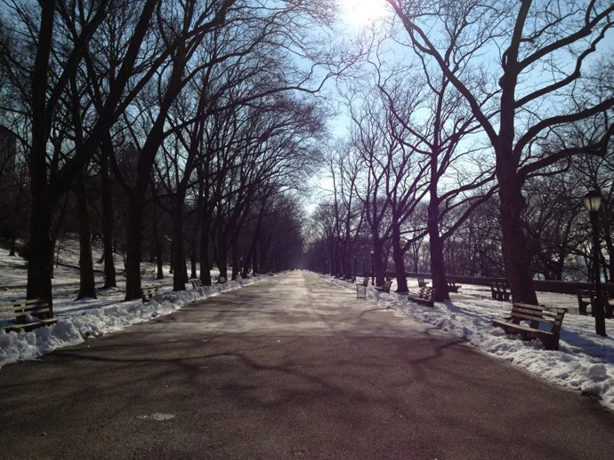 The Upper West Side