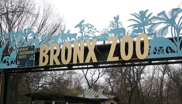 The Bronx Zoo
