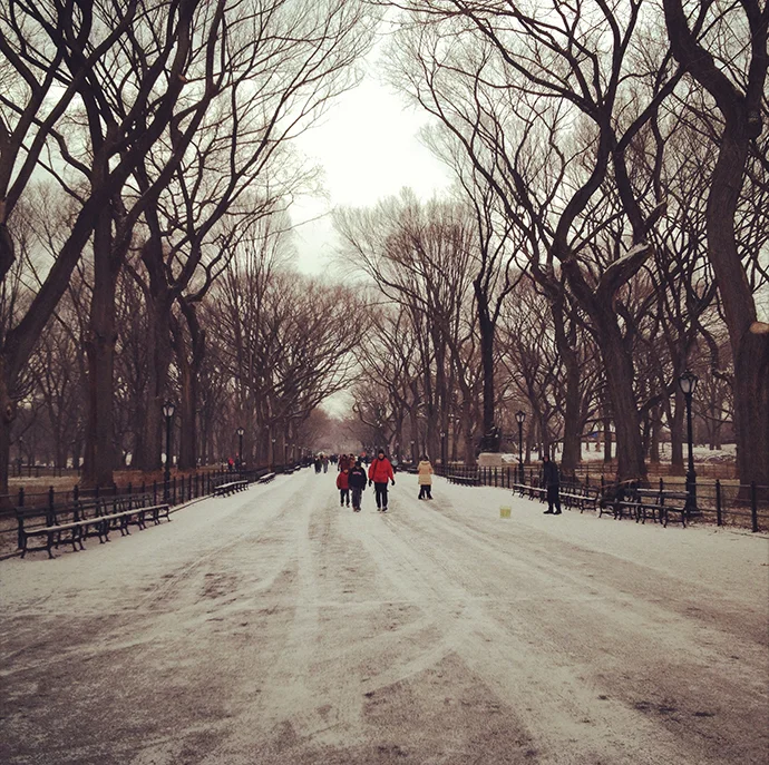 Winter in New York
