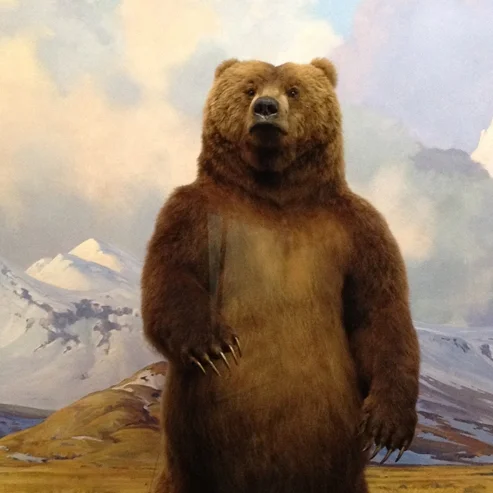 The American Museum of Natural History