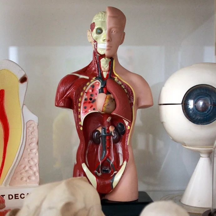 Project 365: Days 118-131