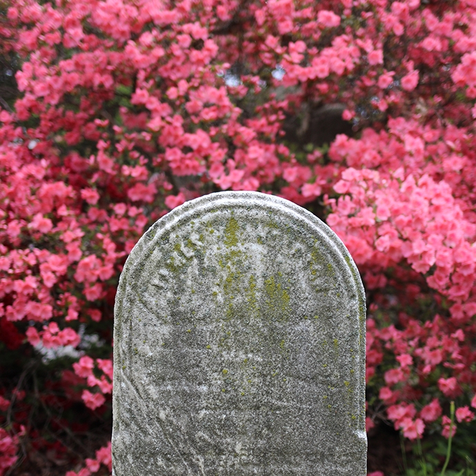 Green-Wood Cemetery: Spring
