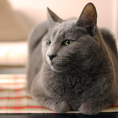 Project 365: Days 132-138