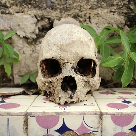 Cementerio de Santa Cruz