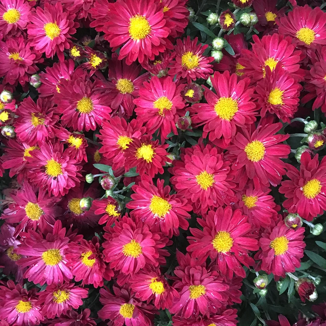 Project 365: Days 253-259