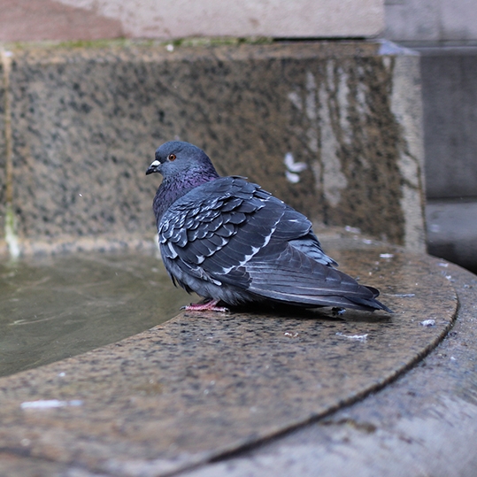 Project 365: Days 295-301