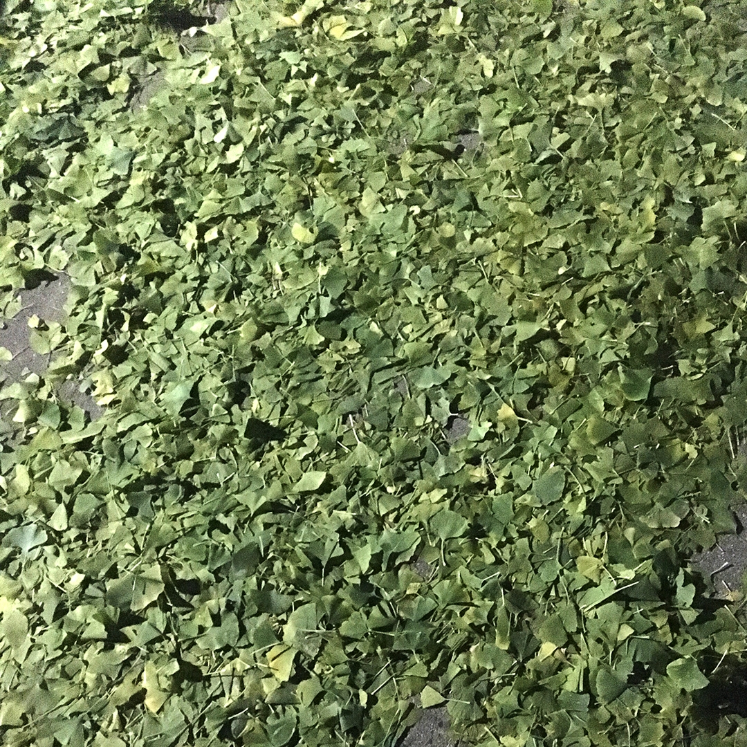 Project 365: Days 316-322