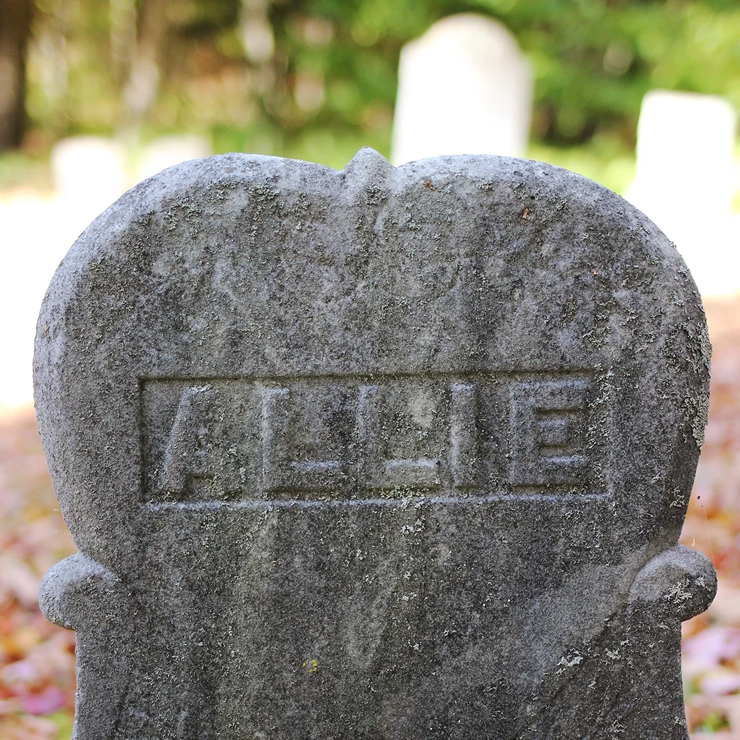 Haines Falls Cemetery