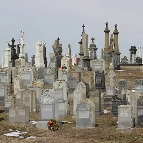 Calvary Cemetery