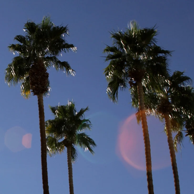 Palm Springs