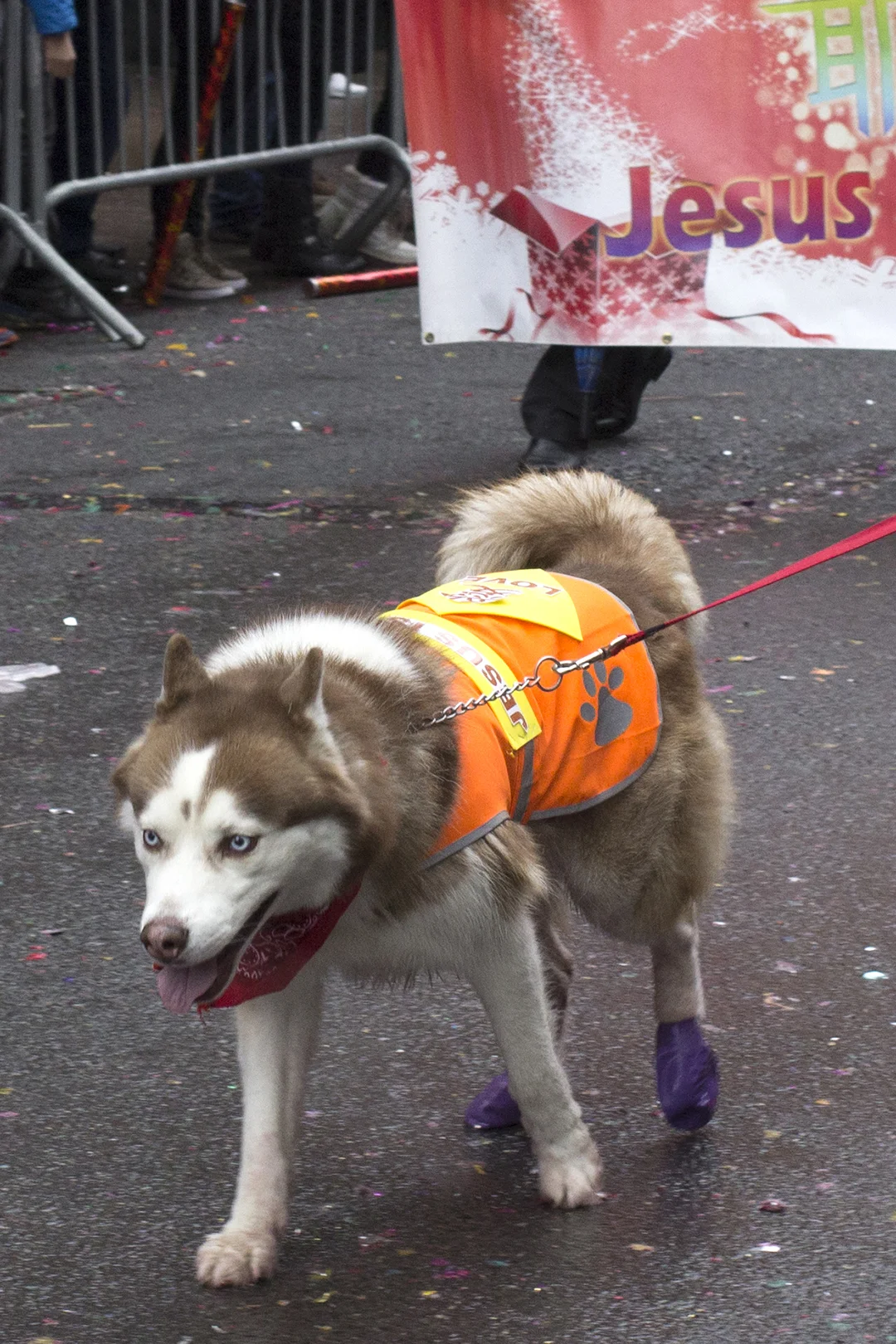 IMG_4038.jpg