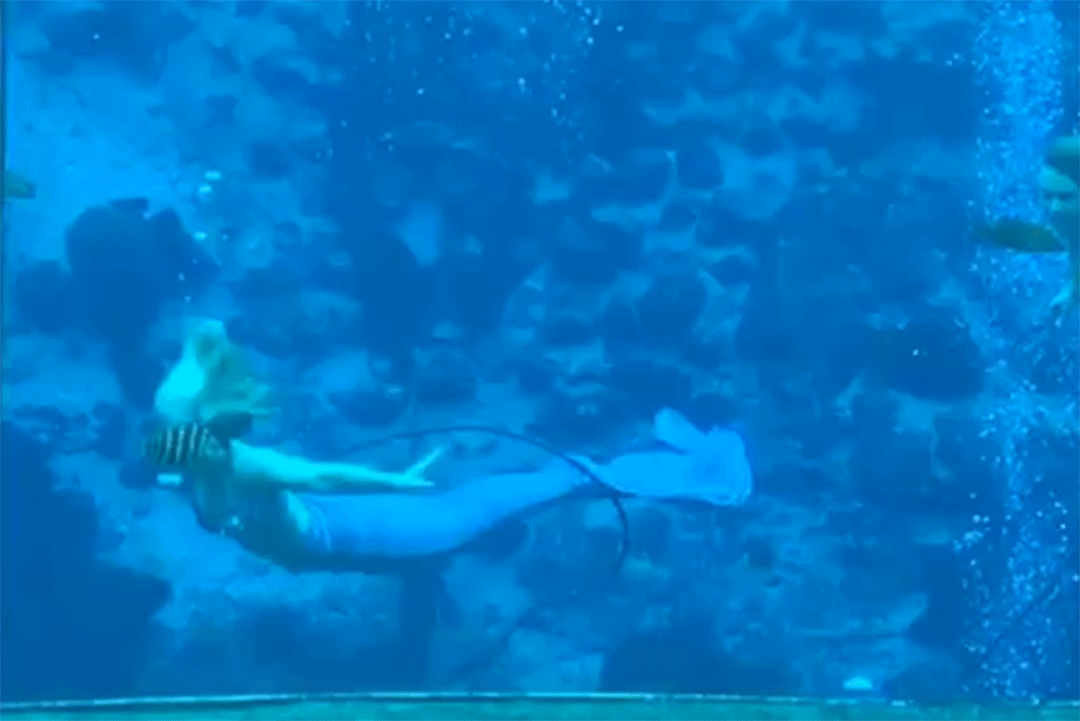 mermaid.gif