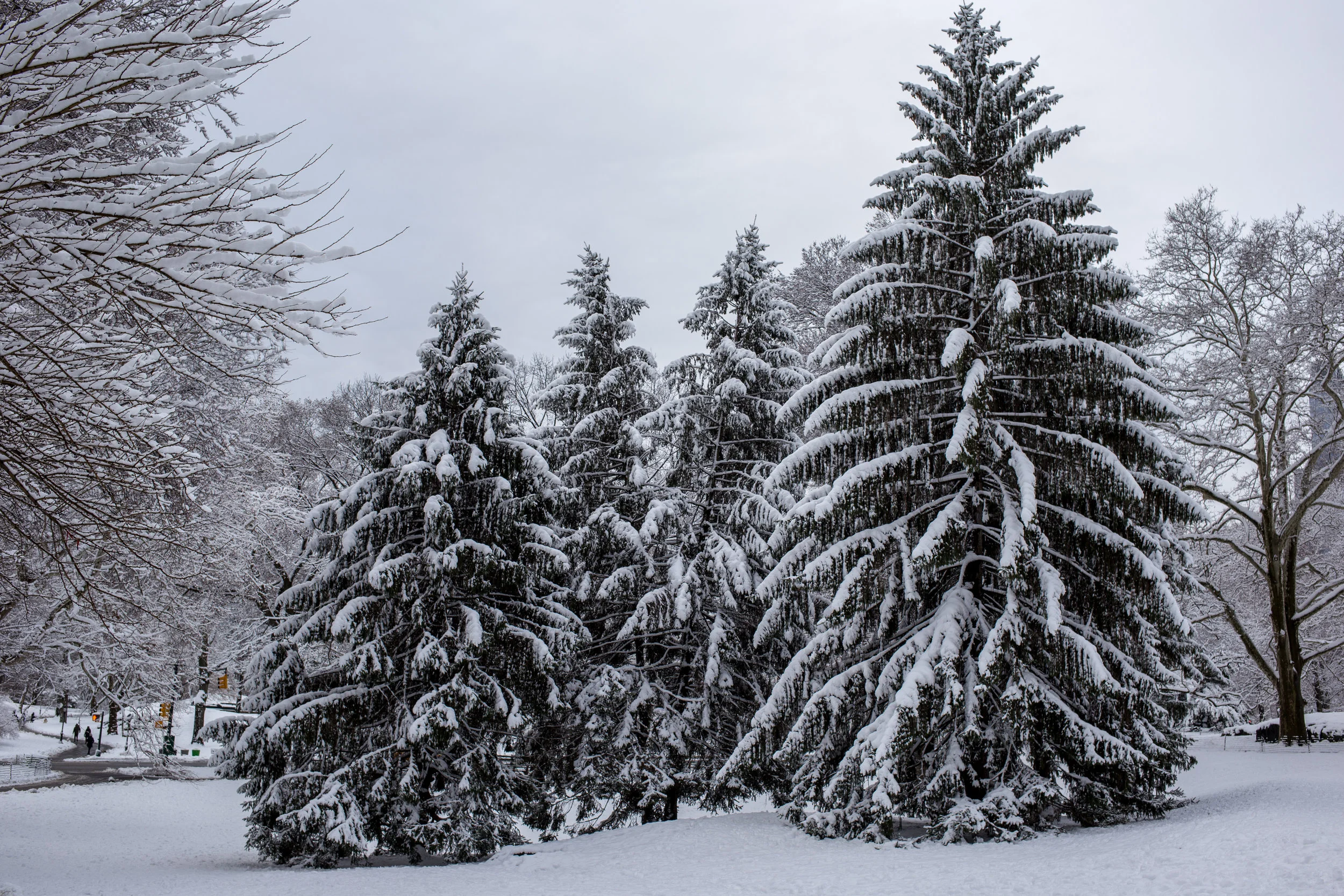 Winter Storm Toby