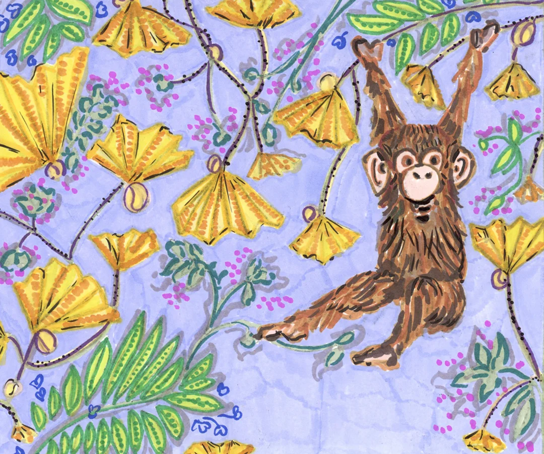 Illustration by Lindsey Frances