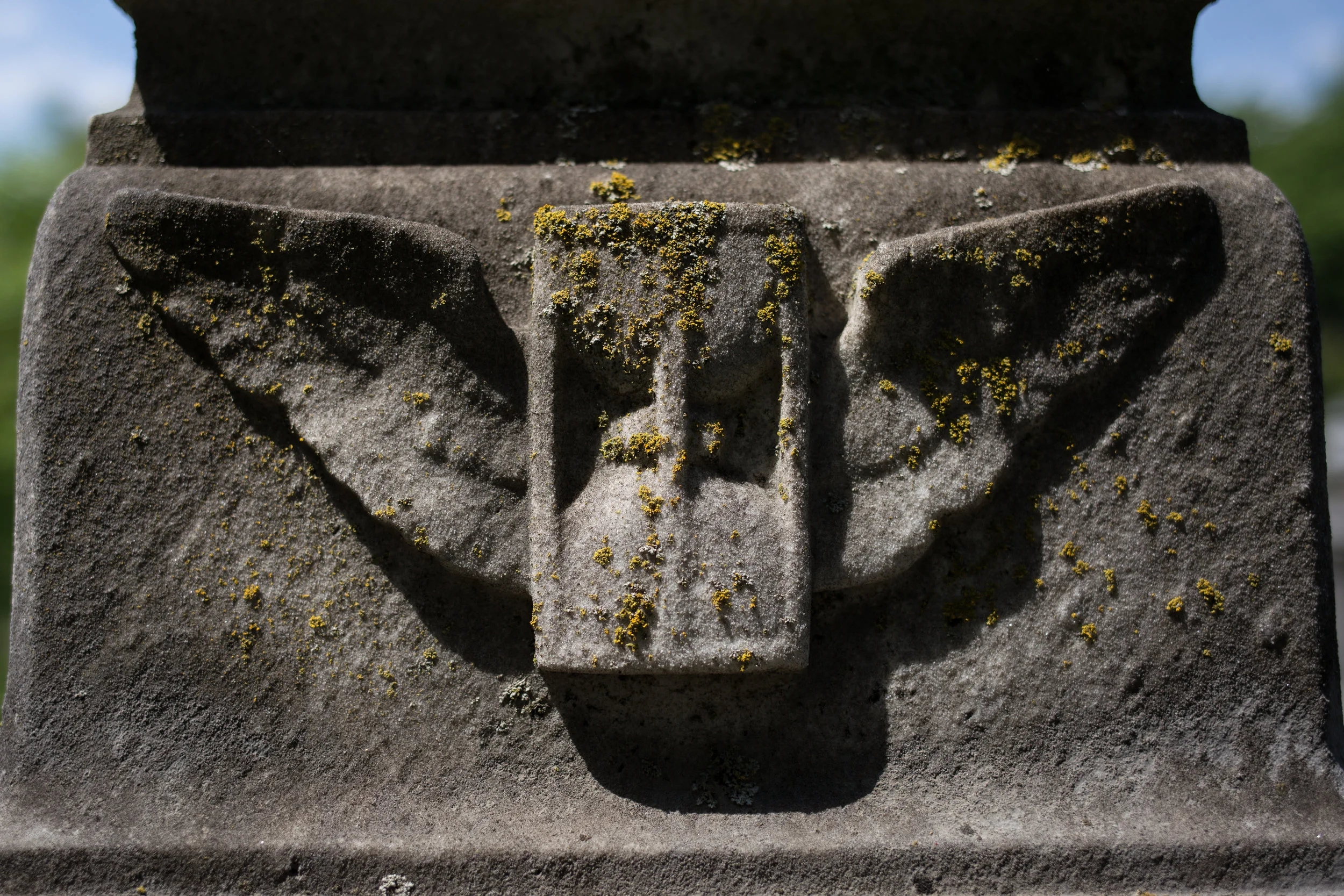 Elmwood Cemetery