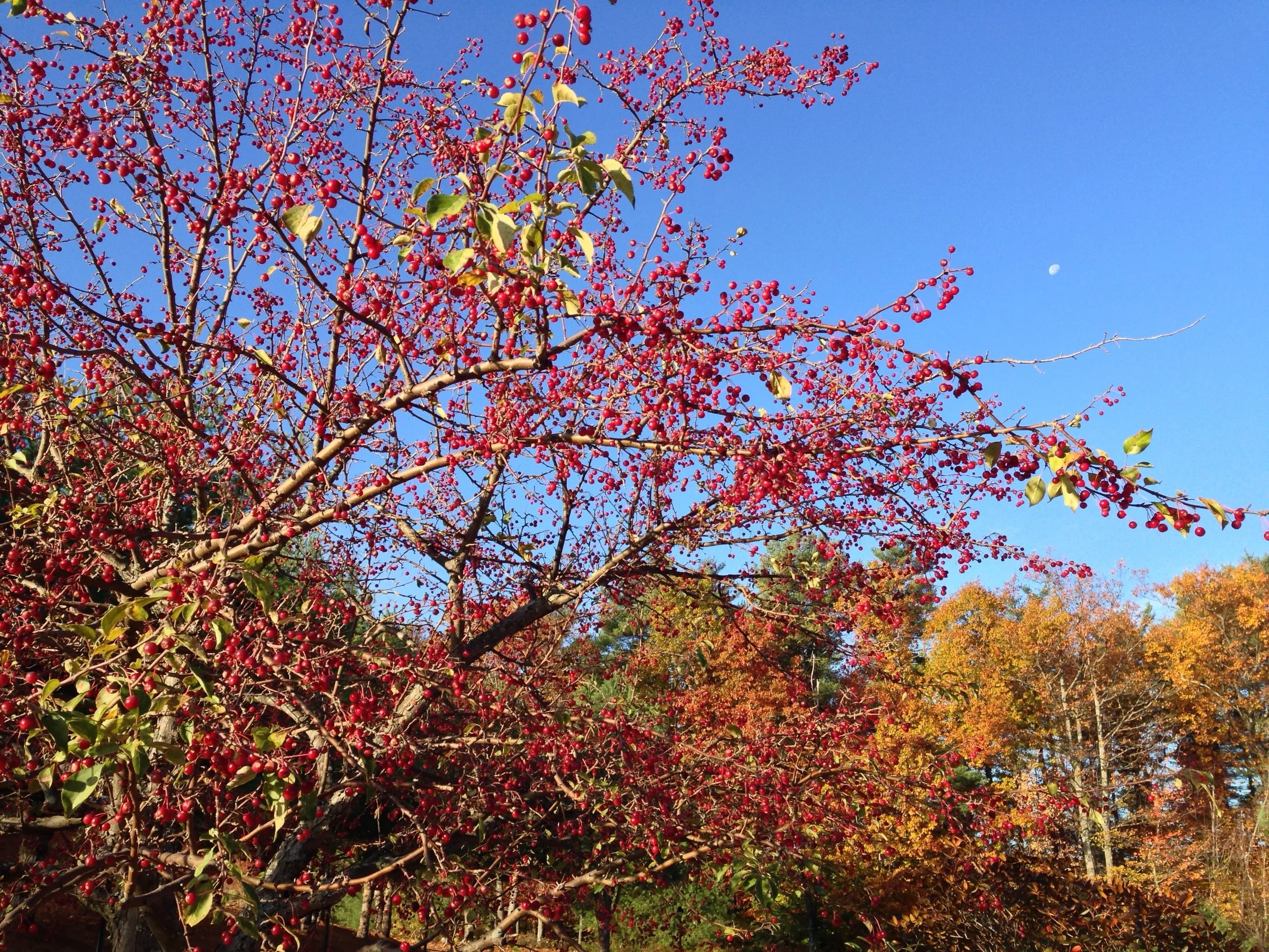 Fall Field Trip