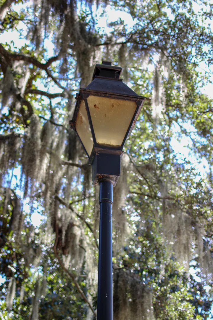 IMG_7426.jpg