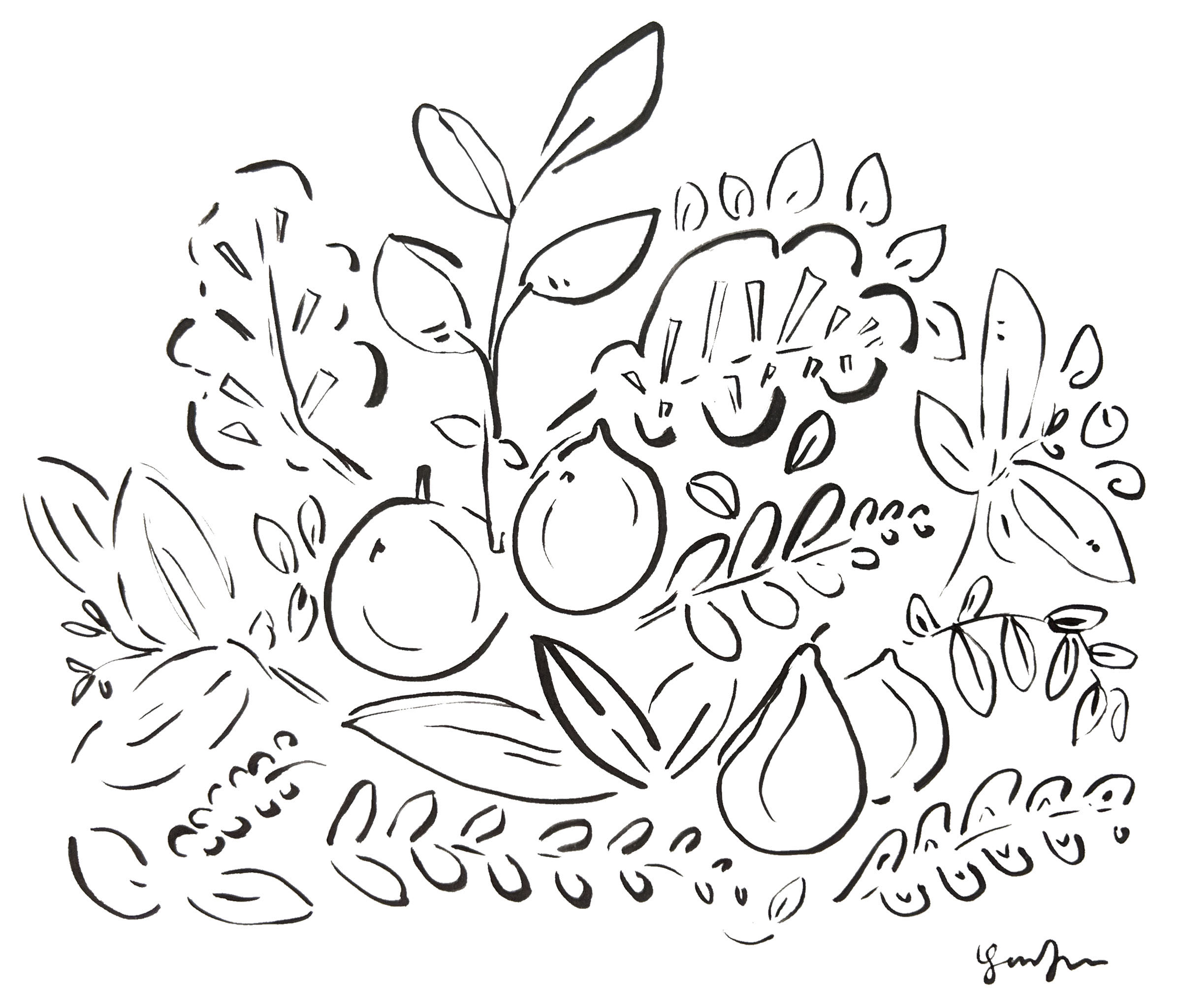 Illustration by Lindsey Frances | Buy a print here
