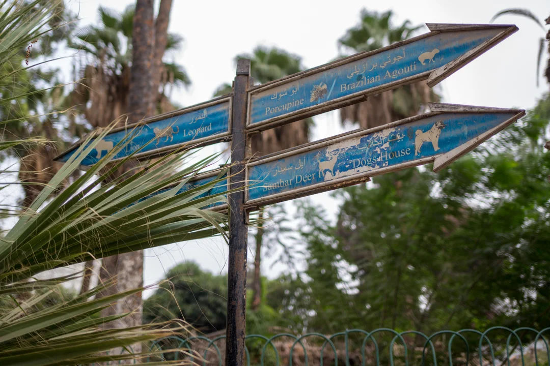 Giza Zoo