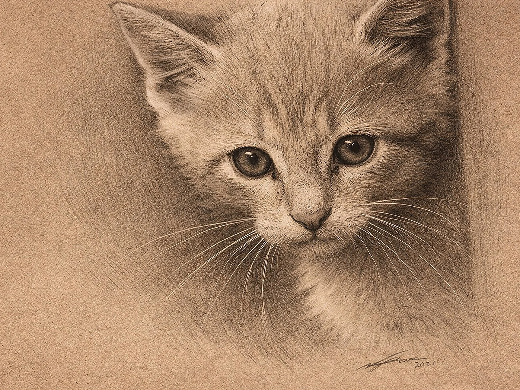 Kitten_Portrait_2026.jpg