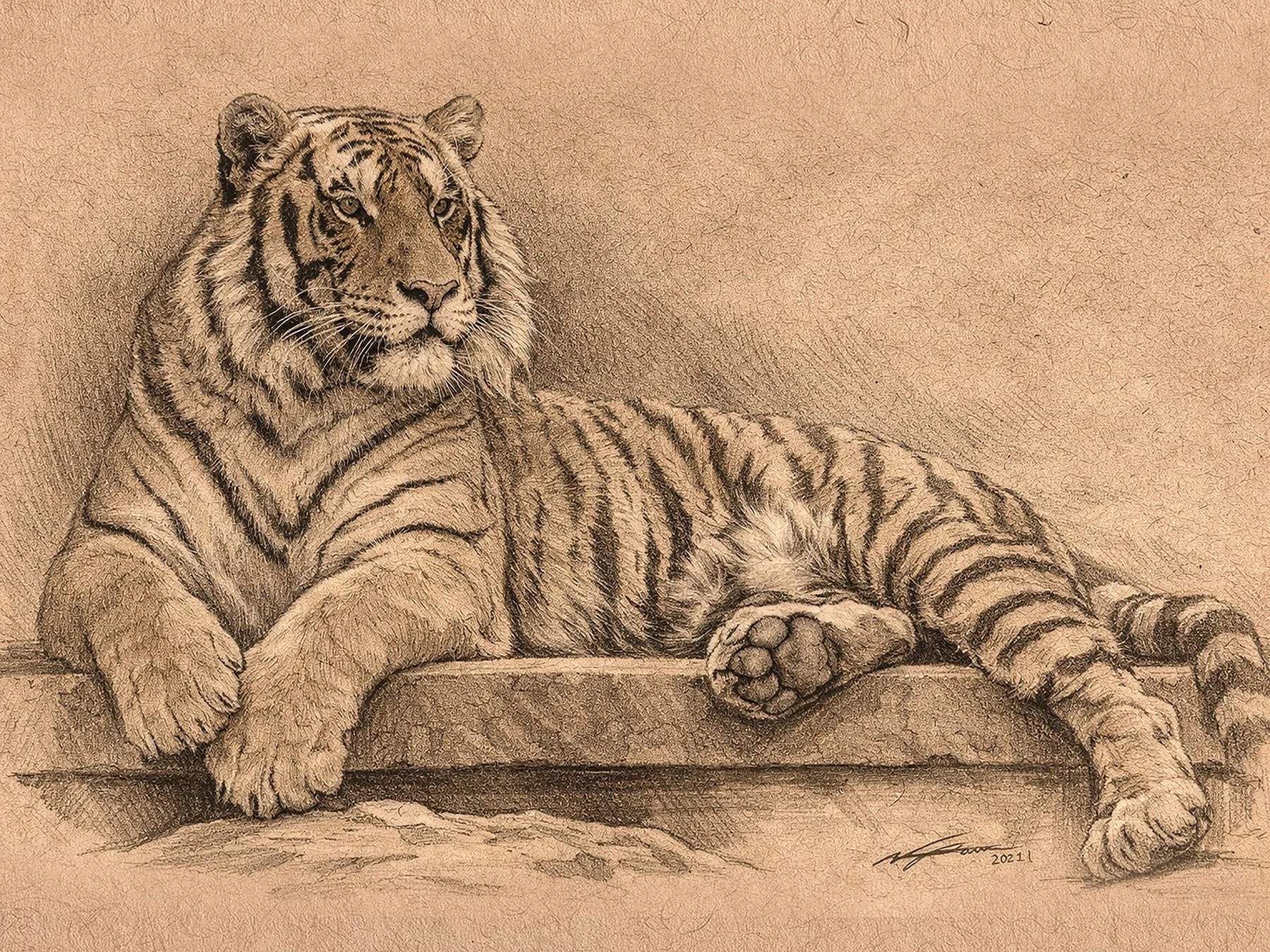 Tiger_Laying.jpg