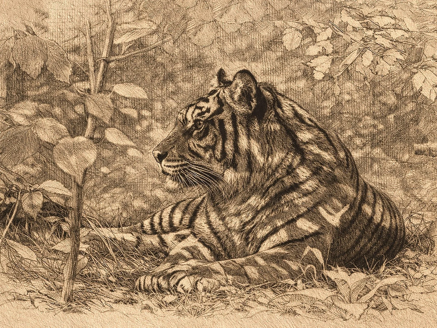 Tiger_RestingCanopy.jpg