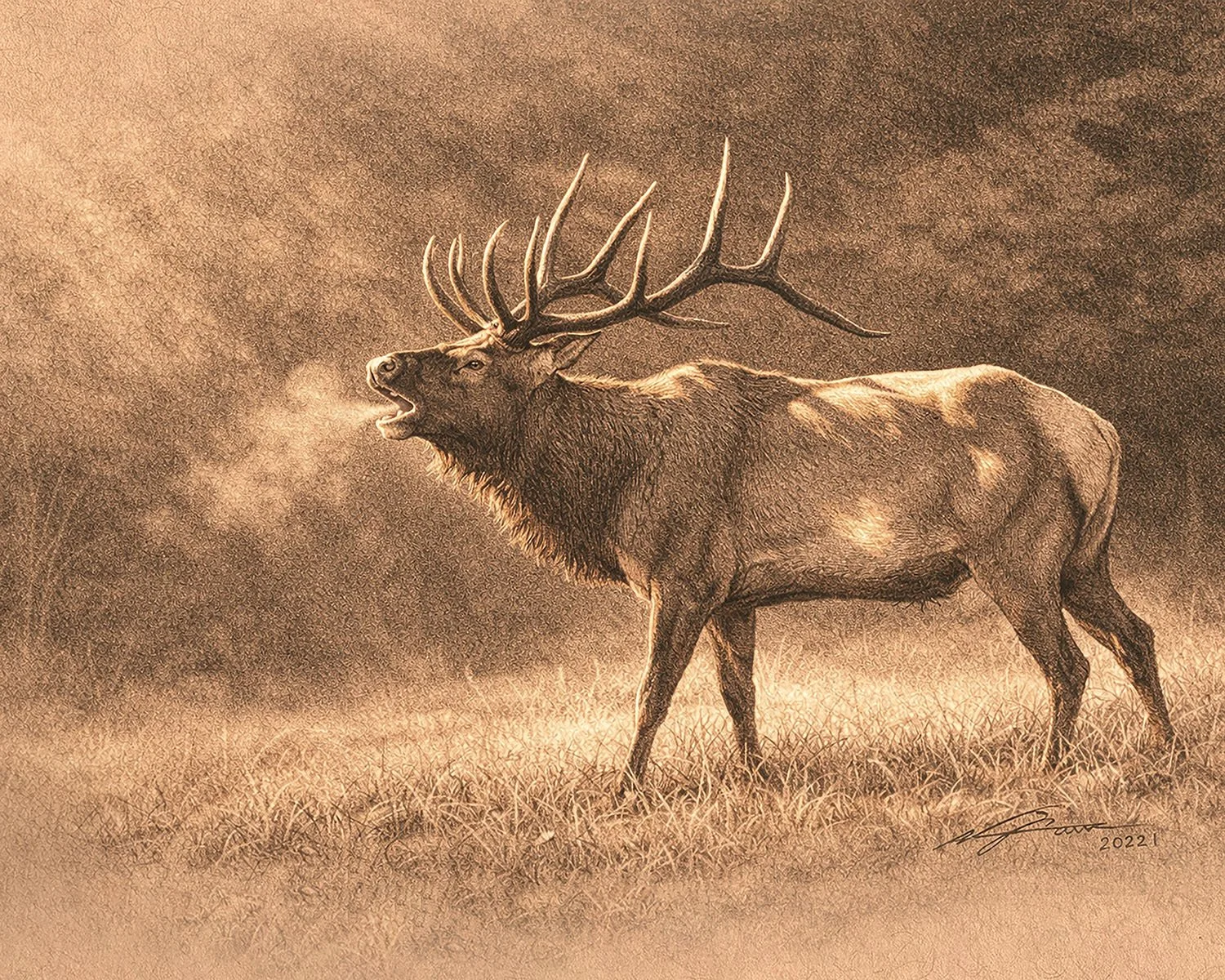 Elk_Call_2026.jpg