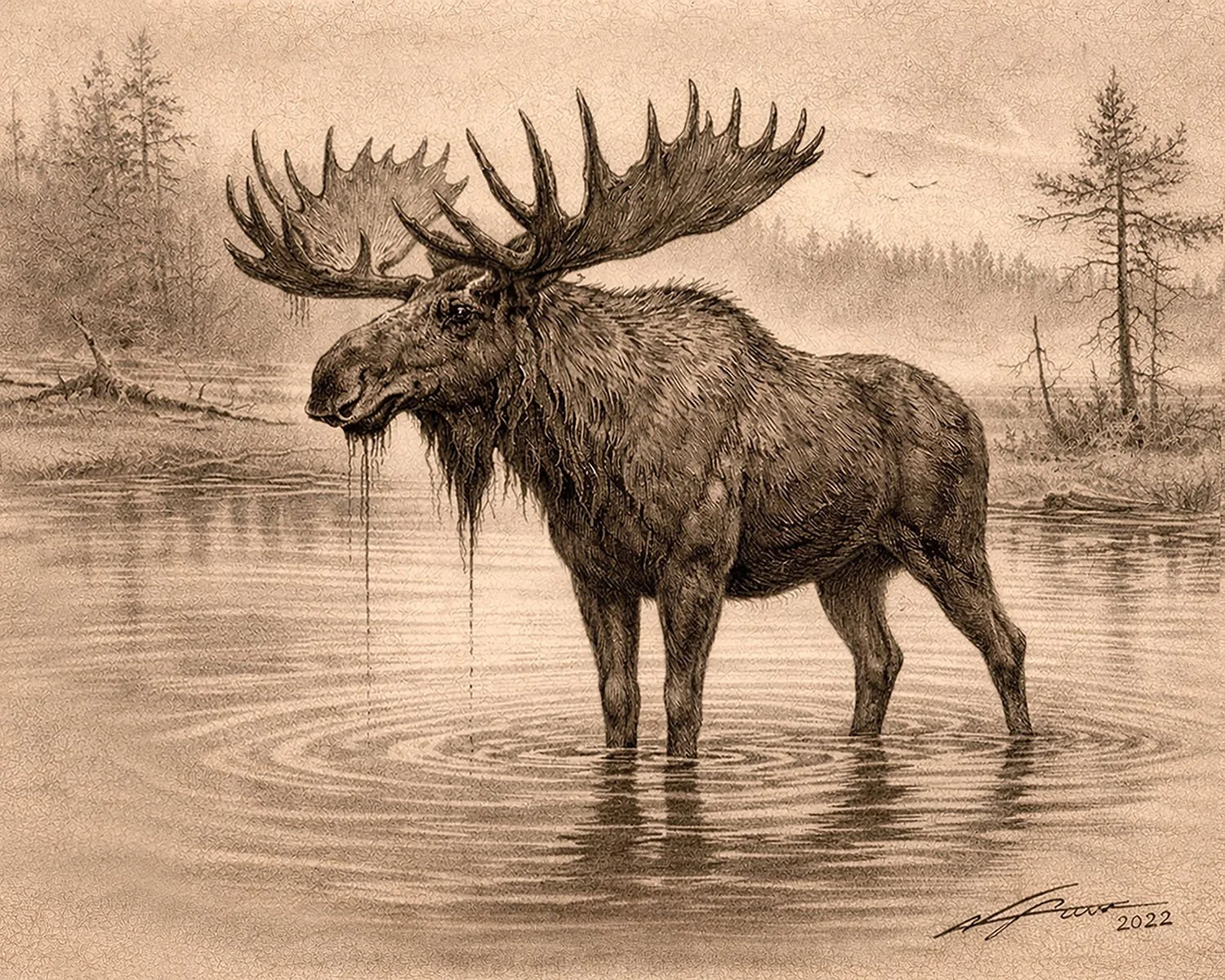 Moose_Swamp_2026.jpg