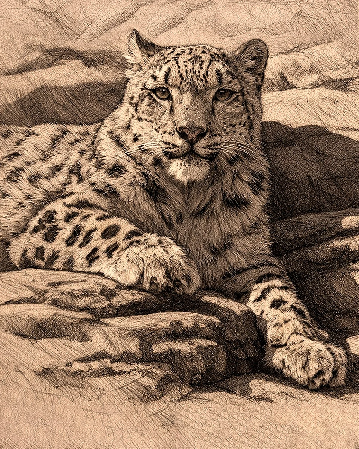 SnowLeopard_CliffCloseup_2026.jpg