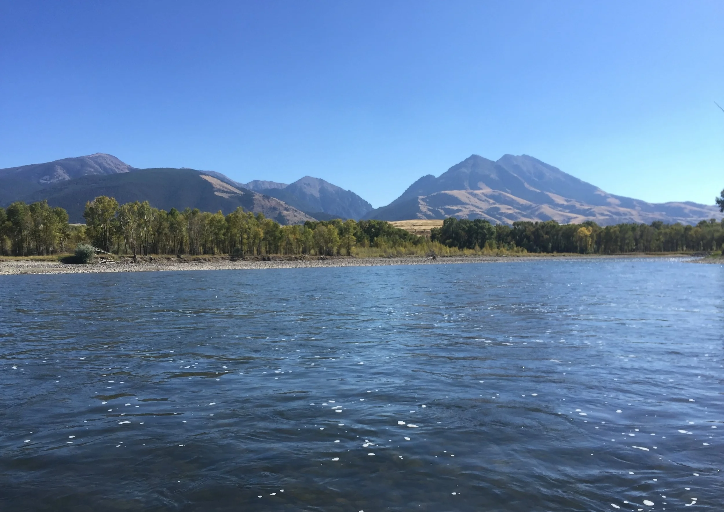 THE SHAPE OF A RIVER