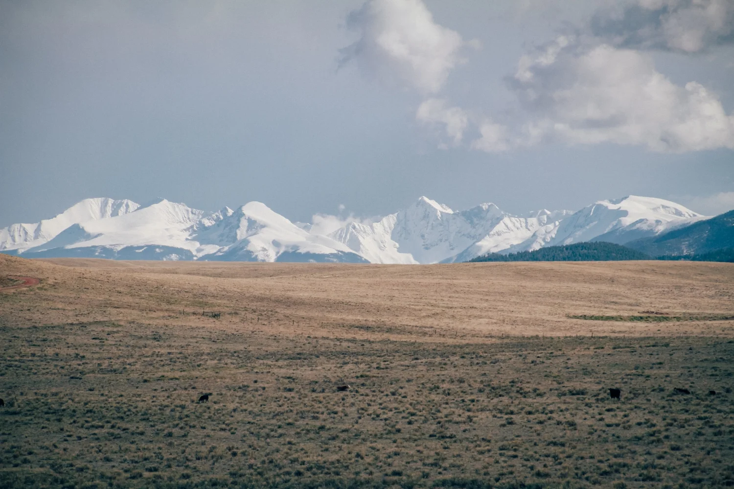 PROJECTS FUNDED BY 2017 CONSERVATION INNOVATION GRANTS