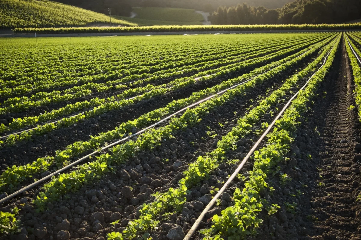 PILOT SYSTEM WATER CONSERVATION SYSTEM RFP OUT