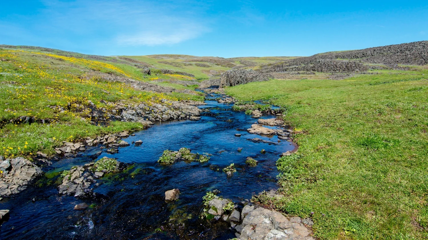 RANCHING FOR RIVERS COST SHARE