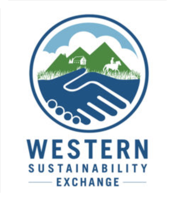 WSE logo.png
