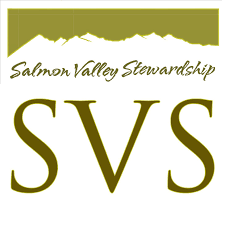 SVS logo.png