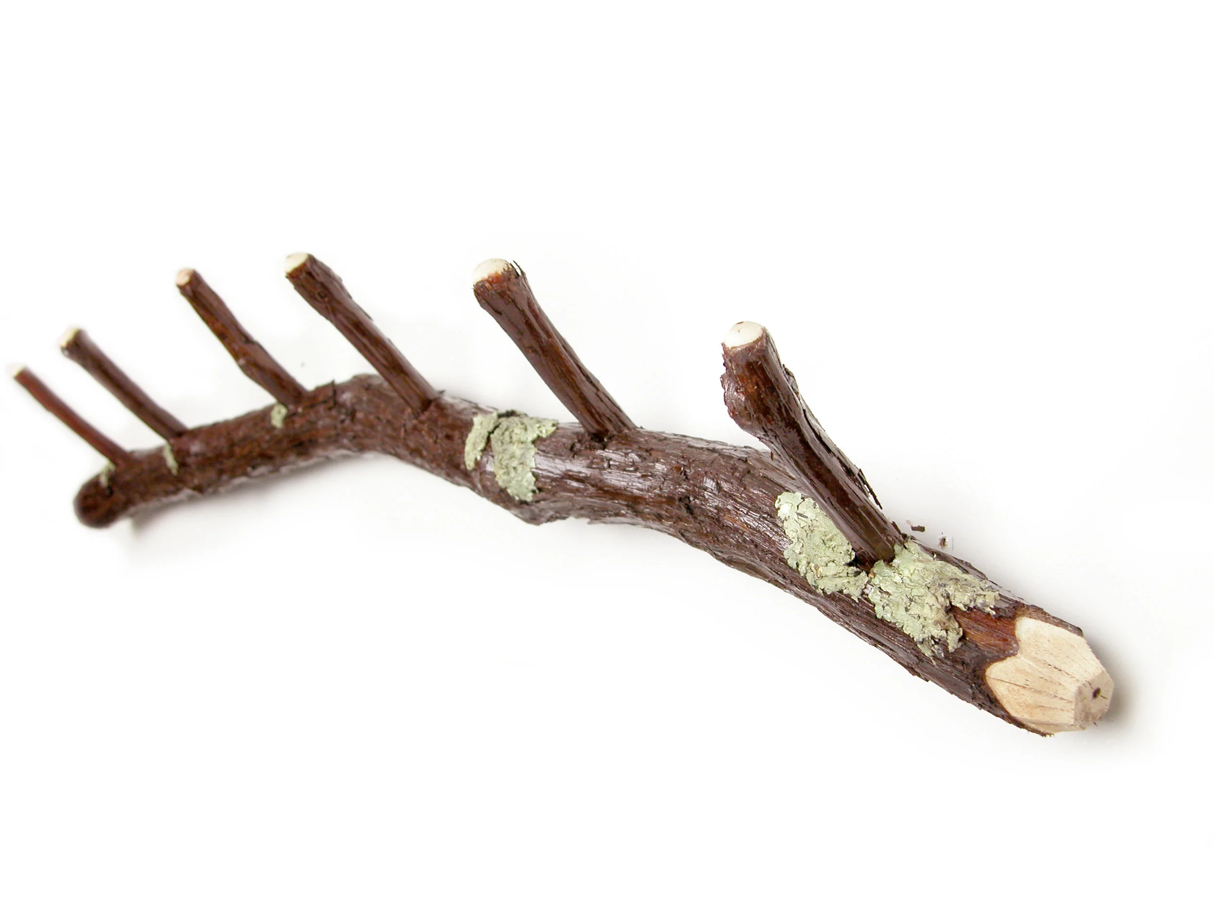 Coat Rack No 4 E_SS.jpg
