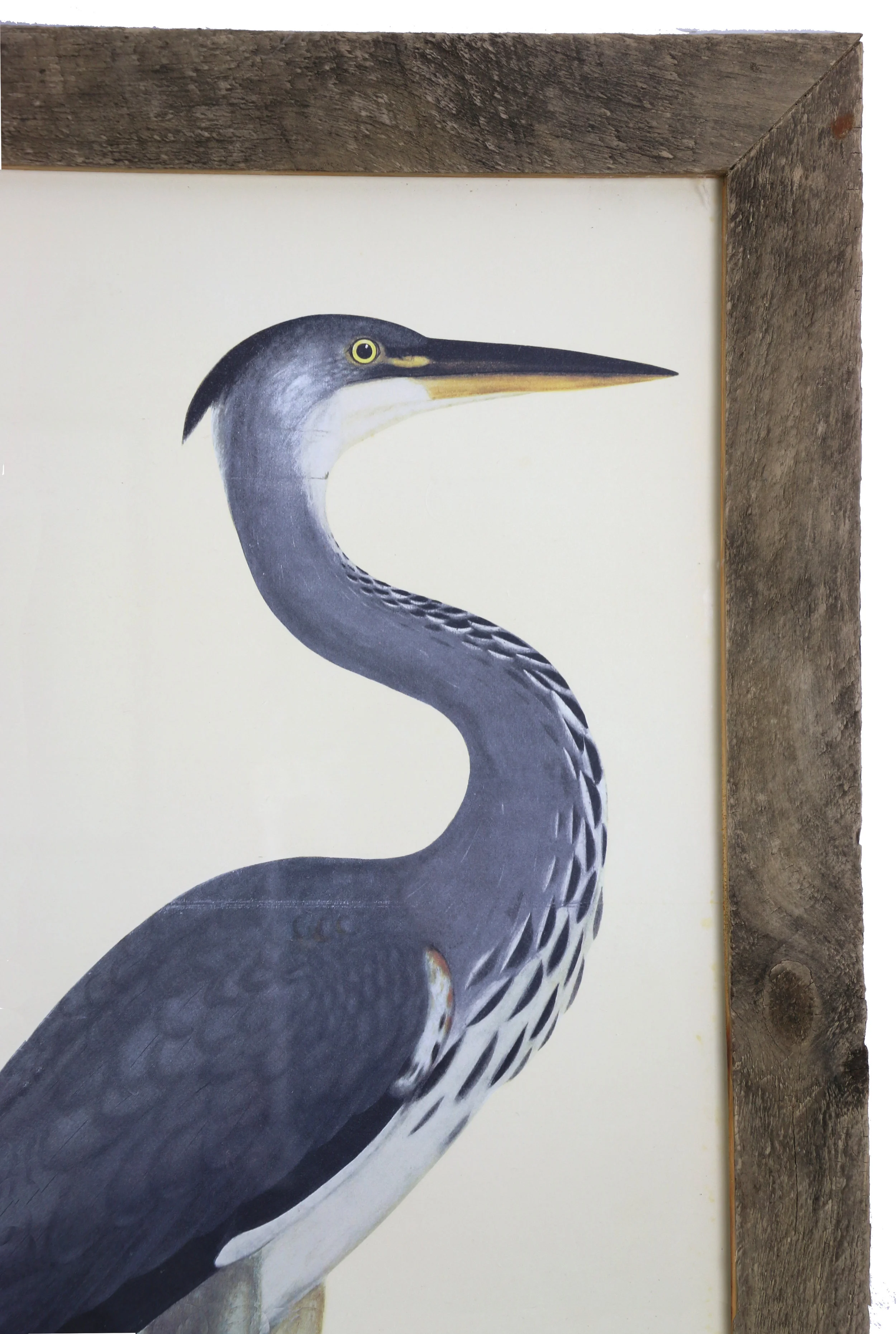 Big Bird detail copy.jpg