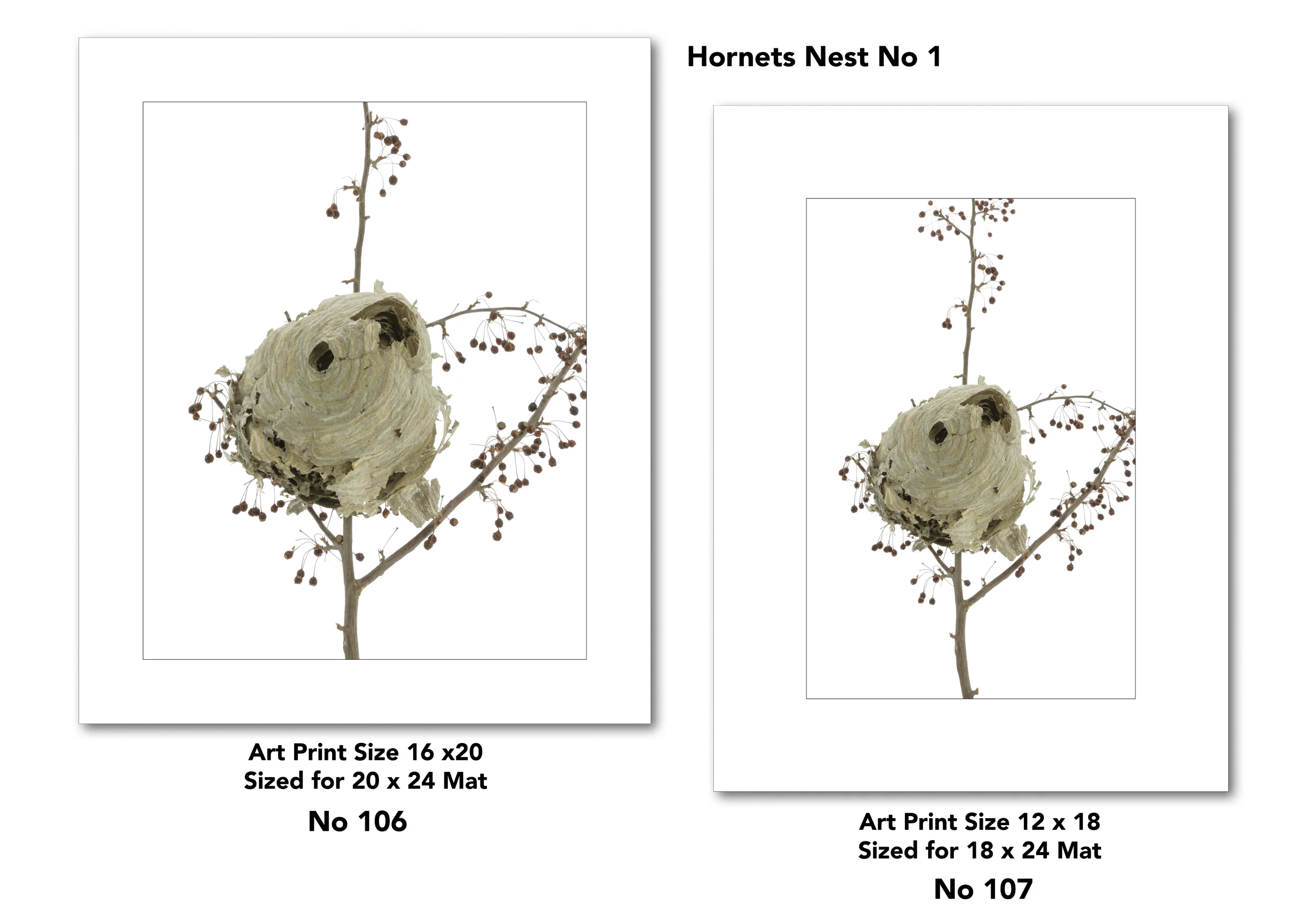 4 Nest for Web Page for drop shadow3.jpg